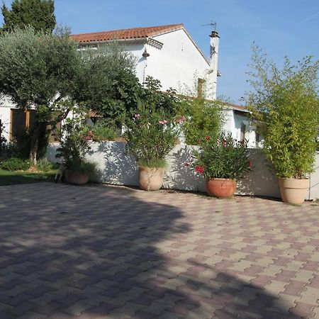site machambreencamargue Vauvert Exterior foto